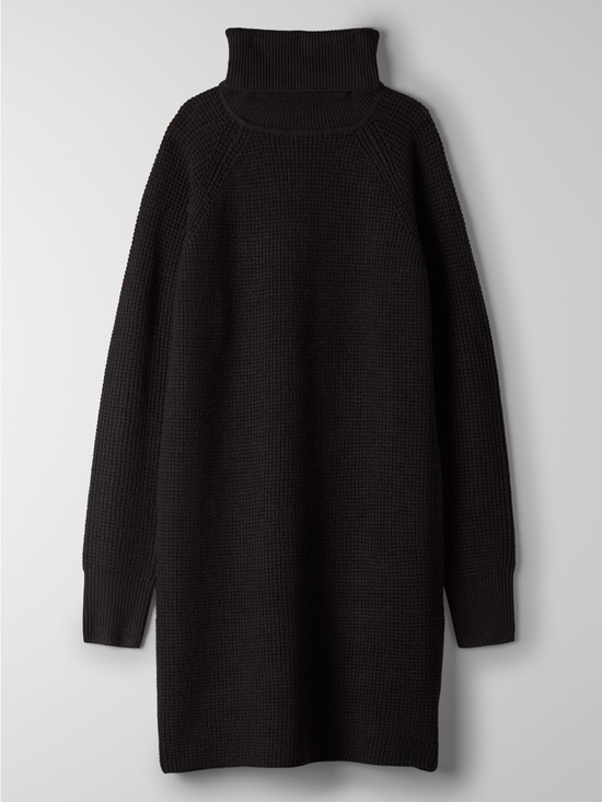 Aritzia Sweaters - Aritzia Black Chunky Turtleneck Sweater Dress